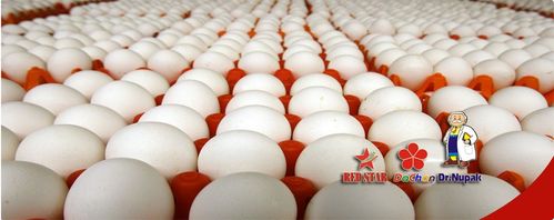 fv88 nhà cái-CM7-hinh-anh-cabin